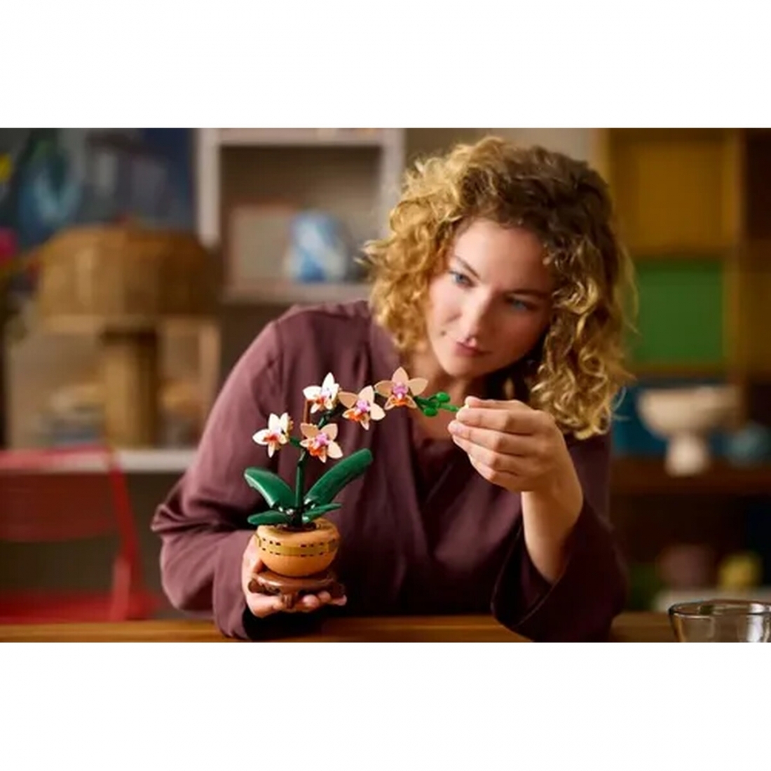 LEGO - Botanicals Mini Orchid Building Set for Adults 10343